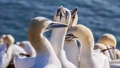 外网球迷喷大马丁：曼城第一球本该挡出去，除了扑点他很一般